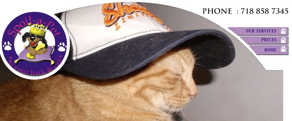 Spoil A Pet